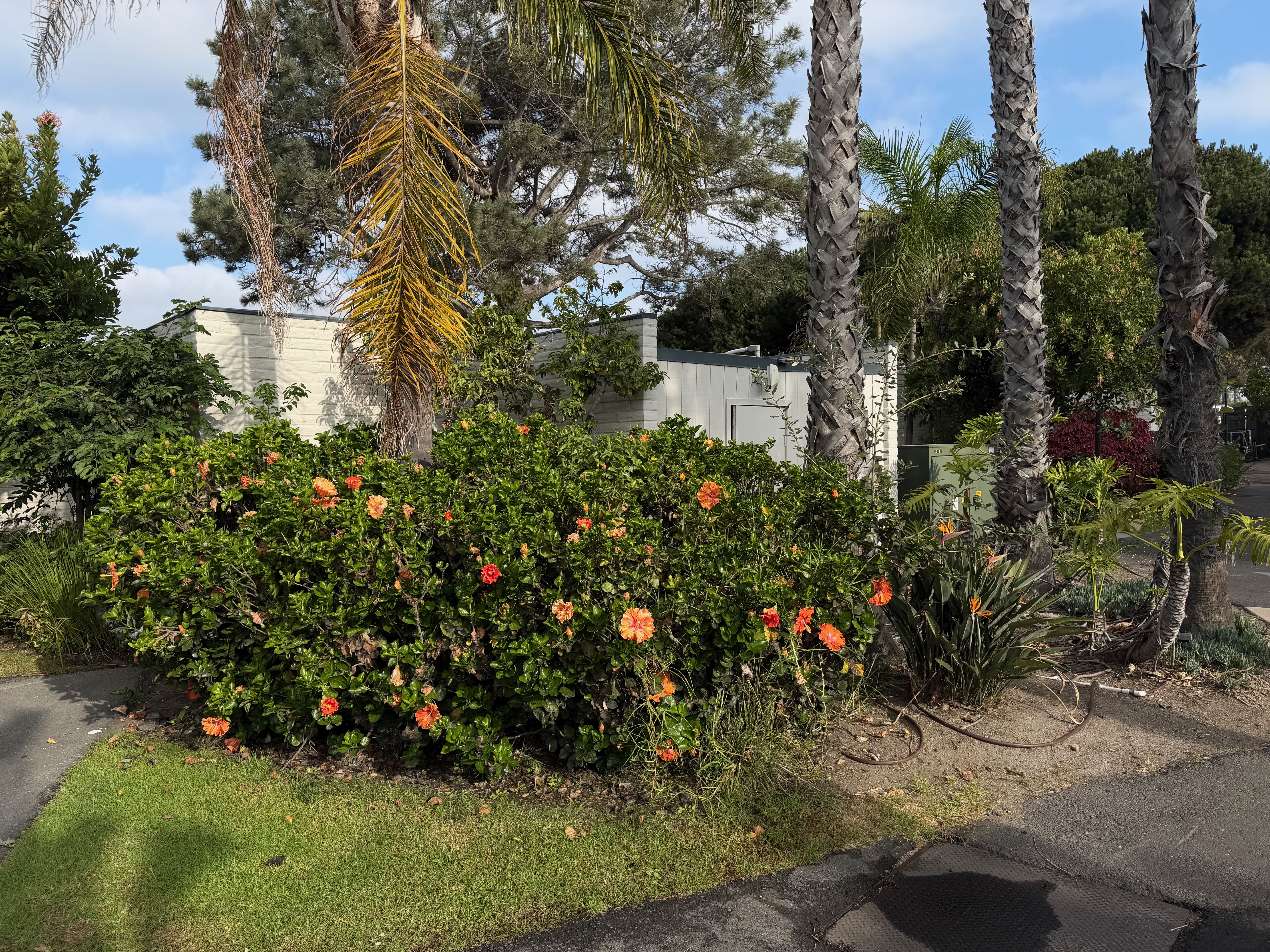 Paradise Point Resort grounds with conference banners